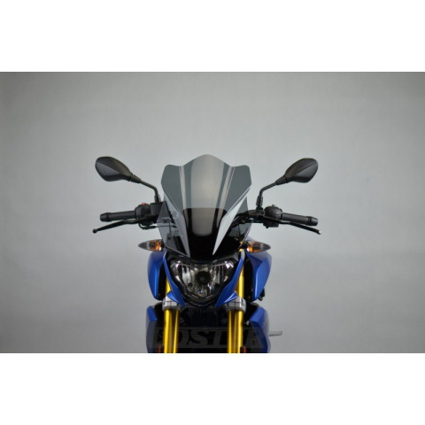SZYBA MOTOCYKLOWA LOSTER BMW G 310 R 2016-2020